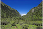 CRW_9486-01