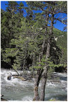 CRW_9503-01