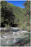 CRW_9504-01
