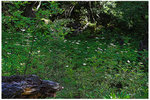 CRW_9532-01
