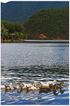 CRW_9773-01