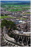 CRW_9929-01