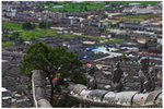 CRW_9931-01