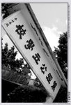 閒遊蕉徑村。