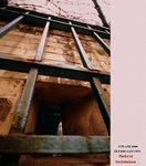 什麼時候它能重現眾人眼前。