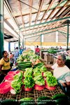 Fiji Market006