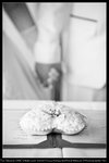 The Perfect Moment (Heidi and Victor)