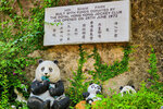 海心公園