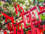 深水埗及南山