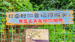 大澳端午2024