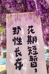 武漢高鐡父子二人行