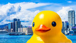 Yellow Rubber Duck 