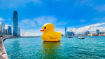 Yellow Rubber Duck 