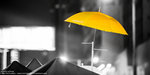 黃雨傘