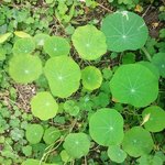 instagram by kininnature