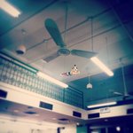 instagram by kininnature