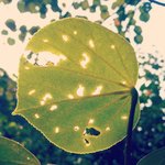 instagram by kininnature