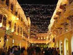 120-2033_IMG