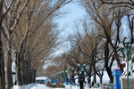 LAI_3559