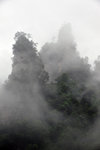 LAI_0772