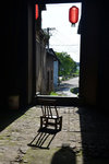 LAI_6491