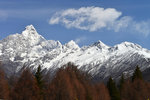 LAI_2253
