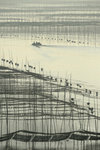 LAI_2022