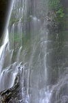 LAI_0145