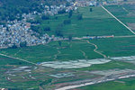 LAI_1300
