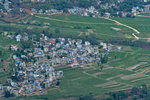 LAI_1308