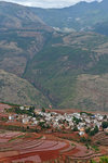 LAI_1309