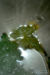 LAI_1689