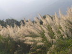 P1020791