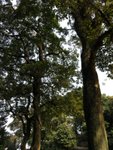 DSCN0076