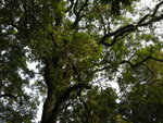 DSCN0077