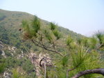 P1010752