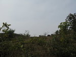 IMG_1696