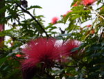 P1010766