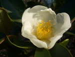 P1020293