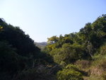 P1020358