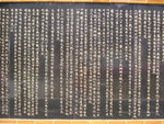 P1030055