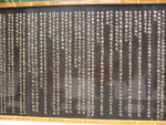 P1030058