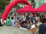 CIMG0386