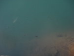 DSC04289