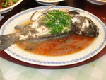 DSC04847