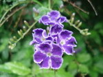 DSC09466