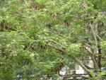 DSCN1695