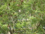 DSCN1696