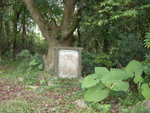 DSCN1702