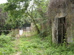DSCN1703